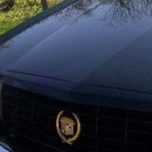 Meet your Posher, Jerilyn